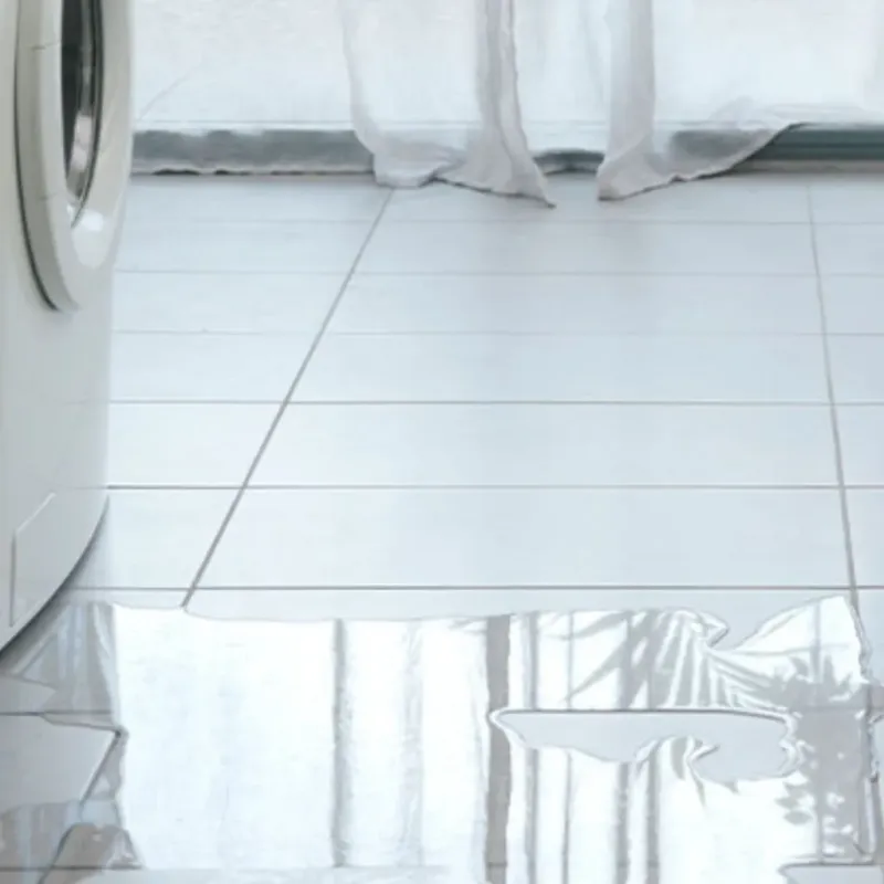 Appliance Leak Cleanup in Basye, VA