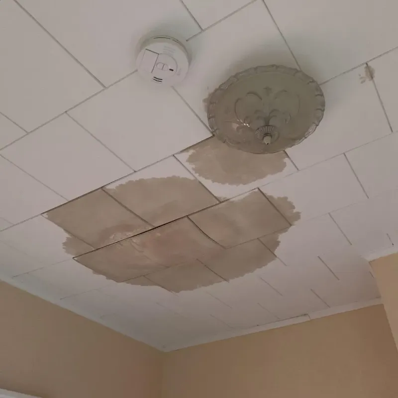 Ceiling Water Damage Repair in Basye, VA
