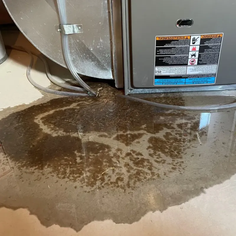 Pipe Burst and Leak Restoration in Basye, VA