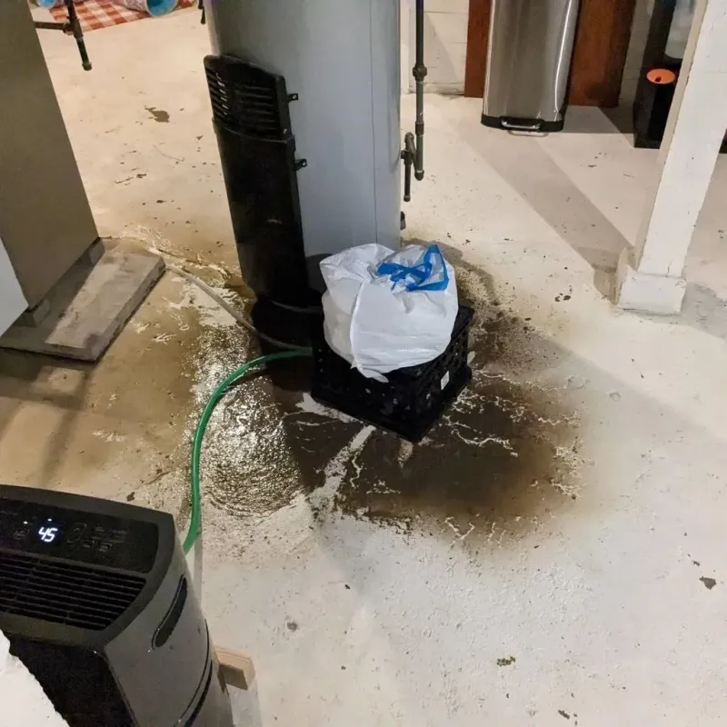 Sewage Backup Cleanup Service in Basye, VA